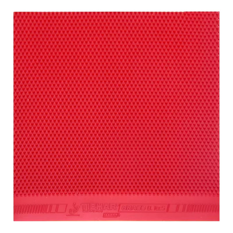 TIBHAR Grass D.TecS Gomma per  - Table Tennis Association recensione e prezzo
